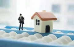 房企一窝蜂杀入 多家银行携千亿资金进入