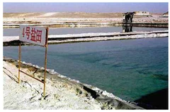 罗布泊发现钾盐矿 未来行业开发利用潜力大